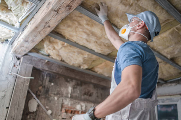 Best Specialized Insulation Services in Centerville, PA